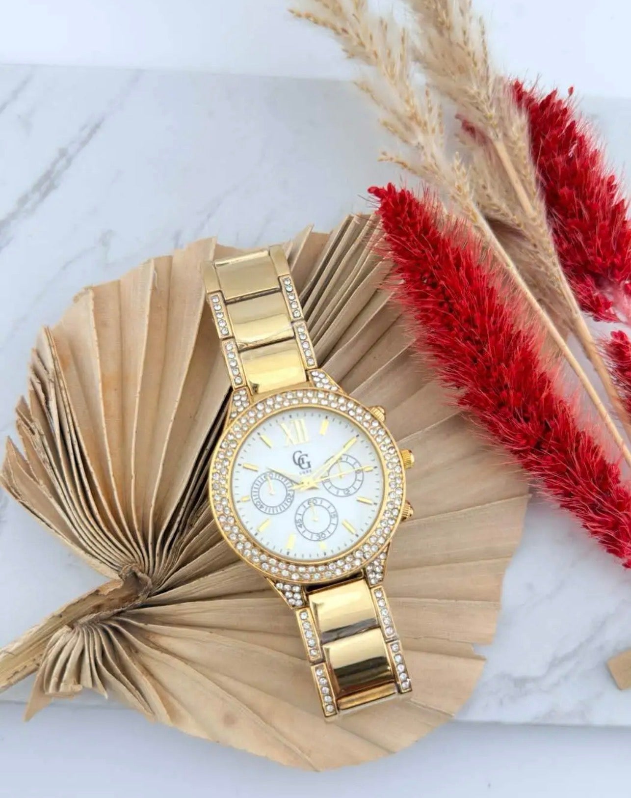 Montre tess